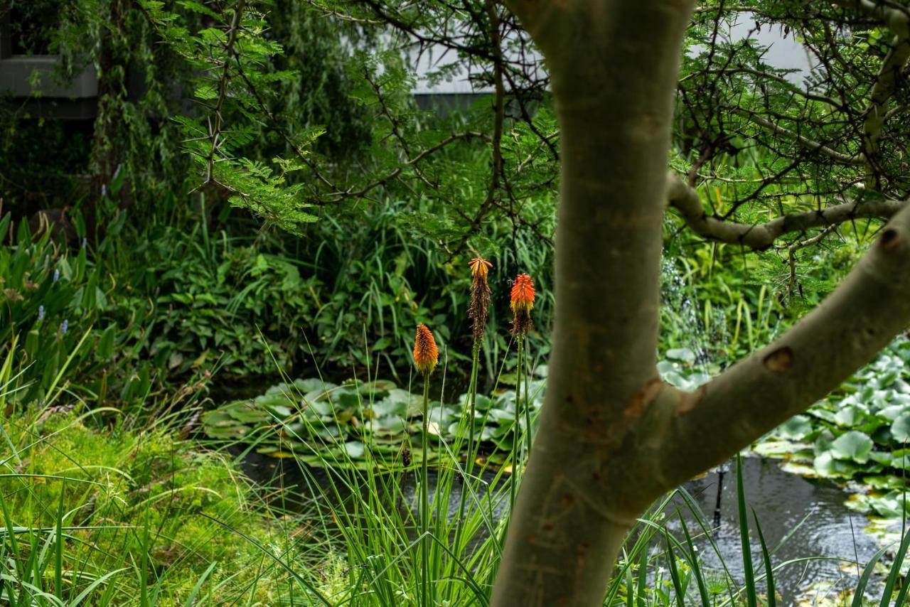 Seven Villa Hotel & Spa Johannesburg Exteriör bild The pond at the entrance to the house